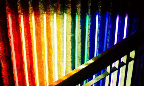 BRANDON: DONDE EL CORAZÓN LATE EN COLORES