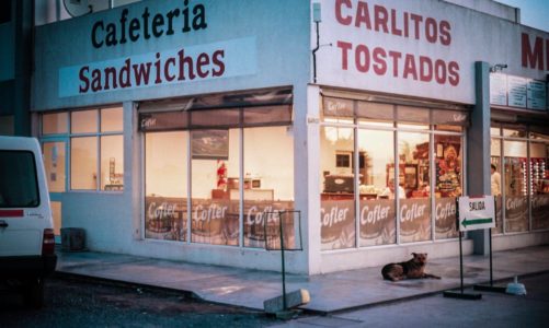 TODO APARENTA NORMAL: DE AMOS Y ESCLAVOS