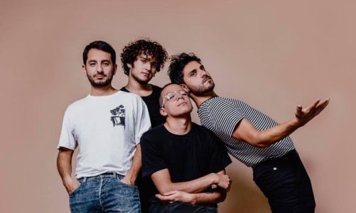 ALKALOIDES VUELVE RECARGADO