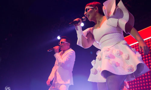 MIRANDA!: LA BESTIA POP