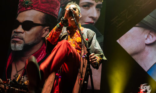 TRIBALISTAS EN EL LUNA PARK