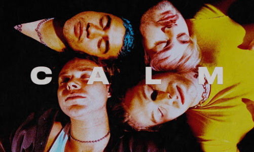 5 SECONDS OF SUMMER Y UN ÁLBUM NECESARIO