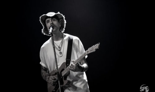 CARDELLINO POR CIEN AÑOS MÁS