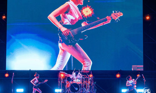 LAS FOTOS DE ERUCA SATIVA EN MANDARINE PARK