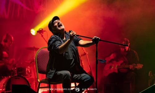 EL RETORNO CATÁRTICO DE LAS PELOTAS