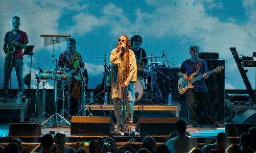 NONPALIDECE EN CC KONEX