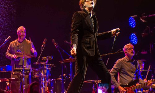 PULP EN ARGENTINA: SOBRE ESPÍAS, UVAS Y LA MELANCOLÍA DEL AMOR