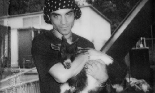 DEL WATER GAP lCOMPARTE NUEVO SINGLE “PURPLE TEETH, THE BRAVERY”