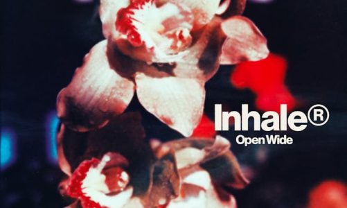 INHALER: NUEVO ALBUM "OPEN WIDE"