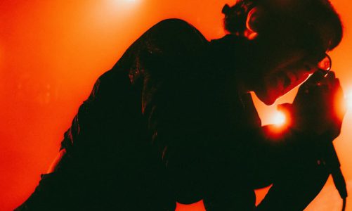 DUM CHICA EN NICETO: ALTA TEMPERATURA