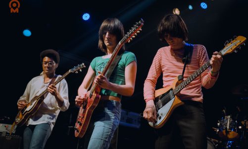 THE LEMON TWIGS: AHORA SE SIENTEN MUCHO MÁS FUERTES