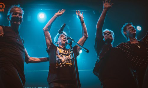 VIRUS Y LOCURA EN NICETO: ENTRE LA DELICADEZA Y EL ROCK N ROLL